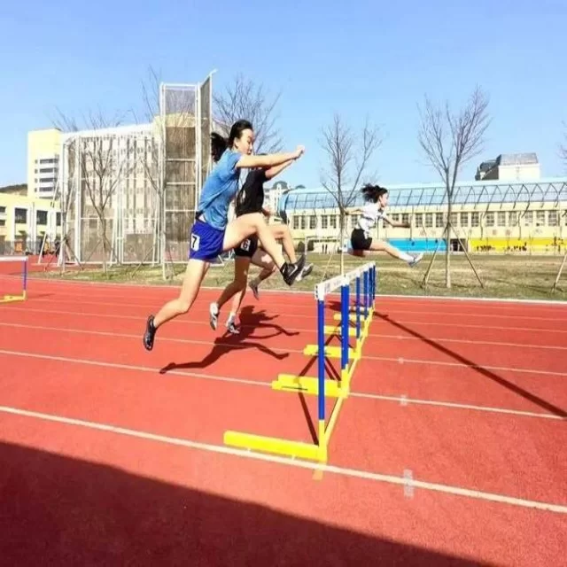 从数据视角看乒乓球冠军竞争格局与未来趋势